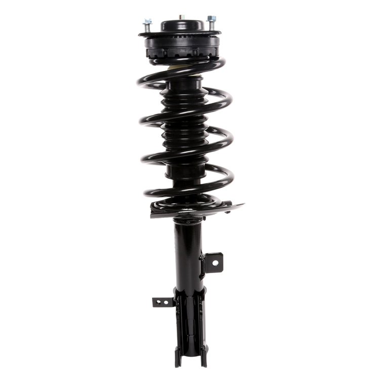 Strut Assembly