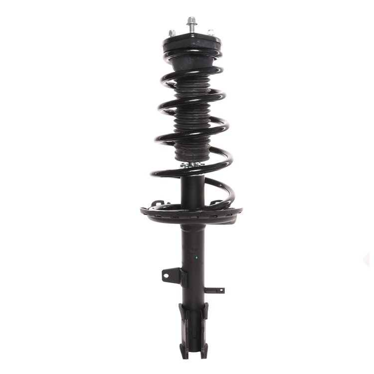 Strut Assembly