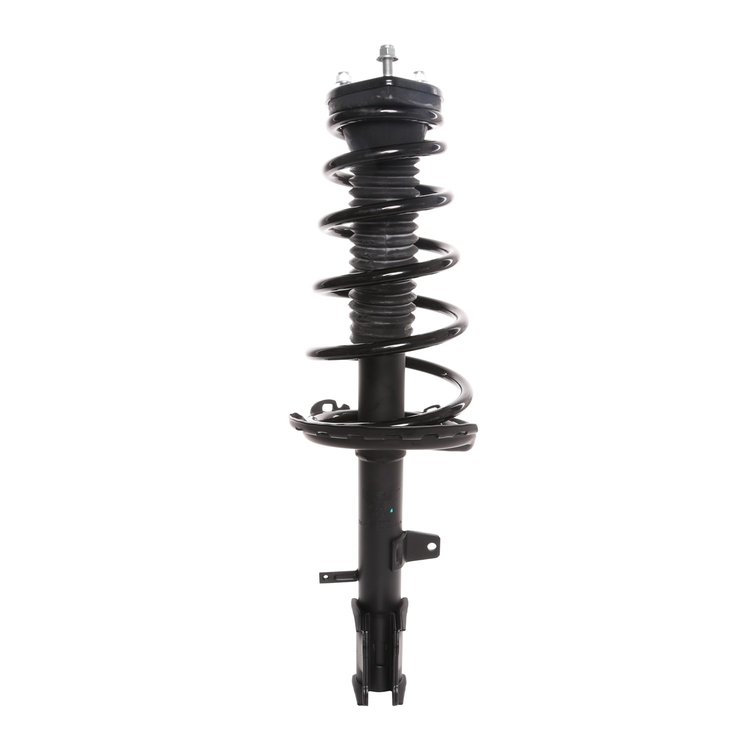 Strut Assembly