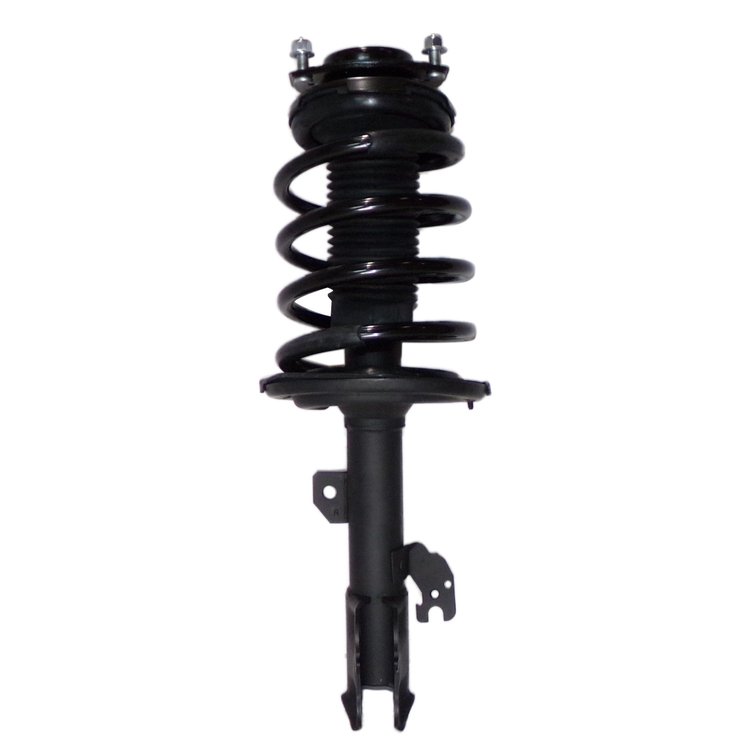 Strut Assembly