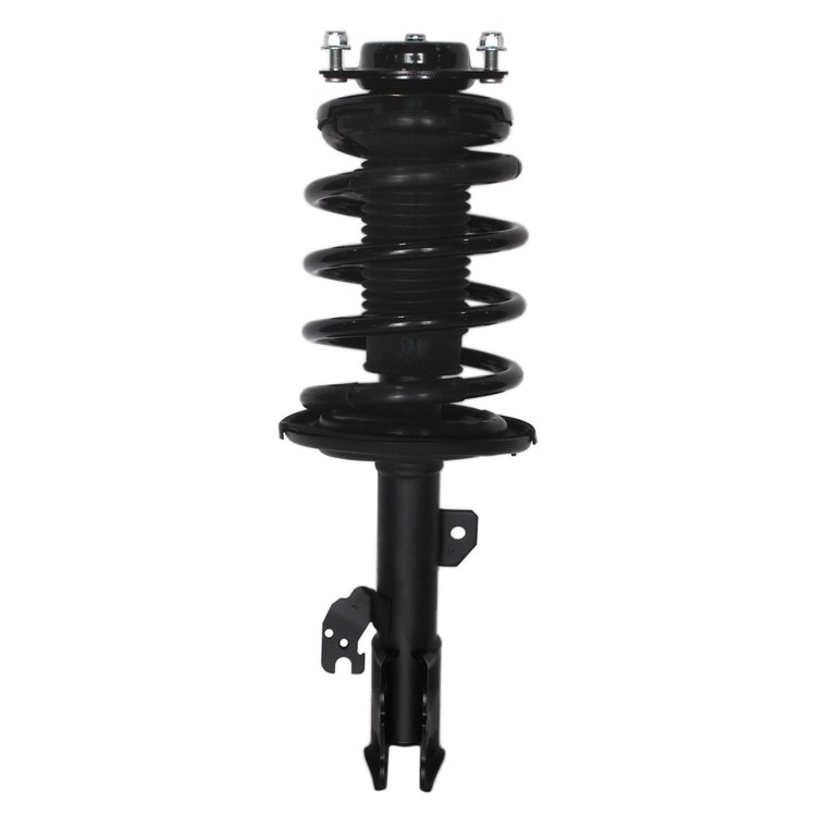 Strut Assembly