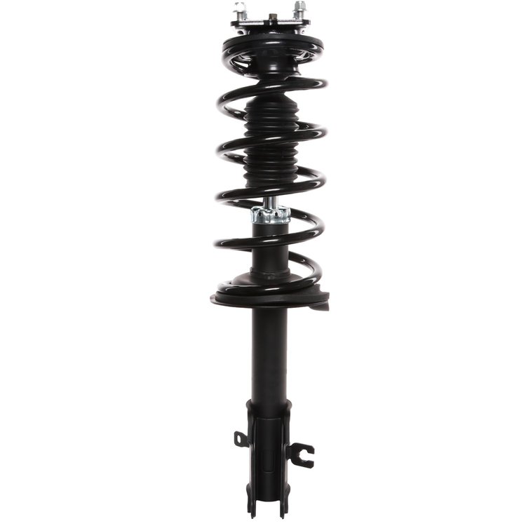 Strut Assembly