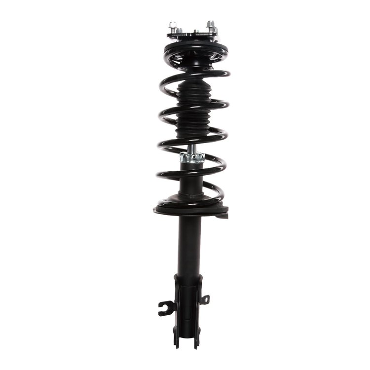 Strut Assembly