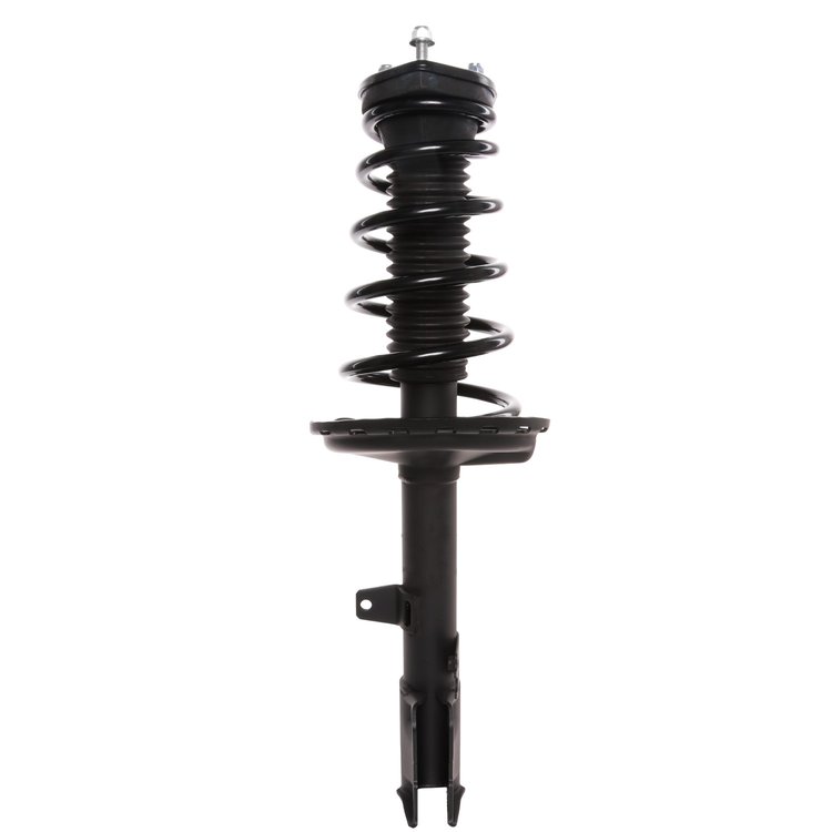 Strut Assembly