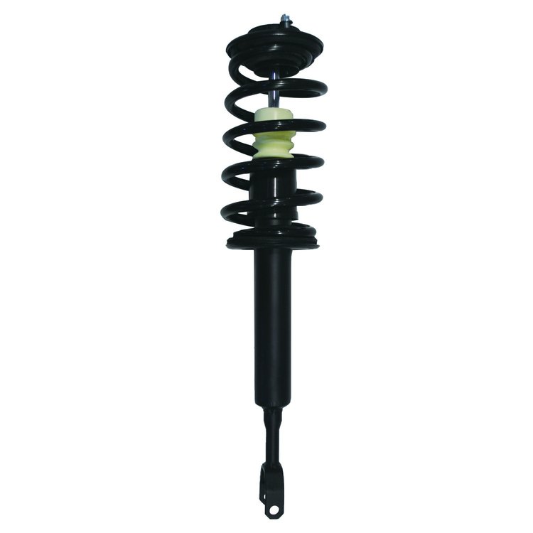 Strut Assembly