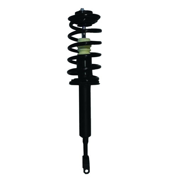Strut Assembly