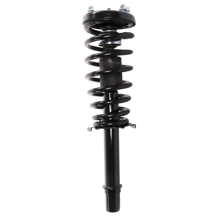 Strut Assembly