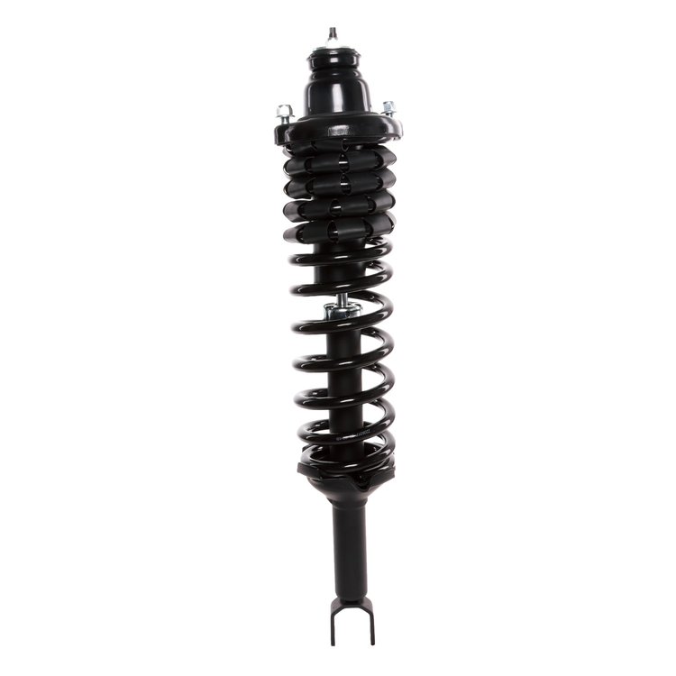 Strut Assembly