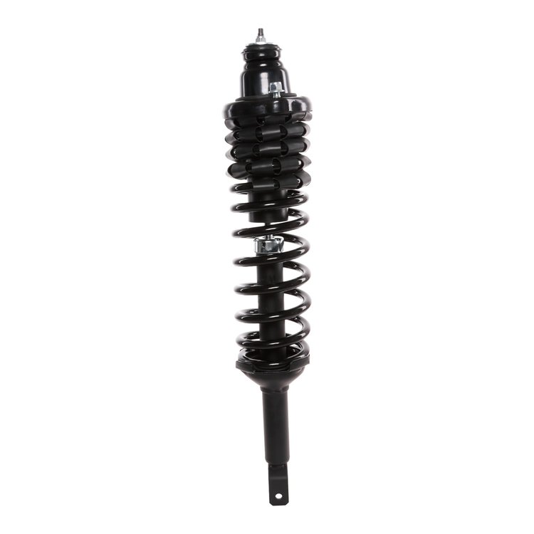 Strut Assembly