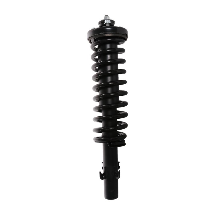 Strut Assembly