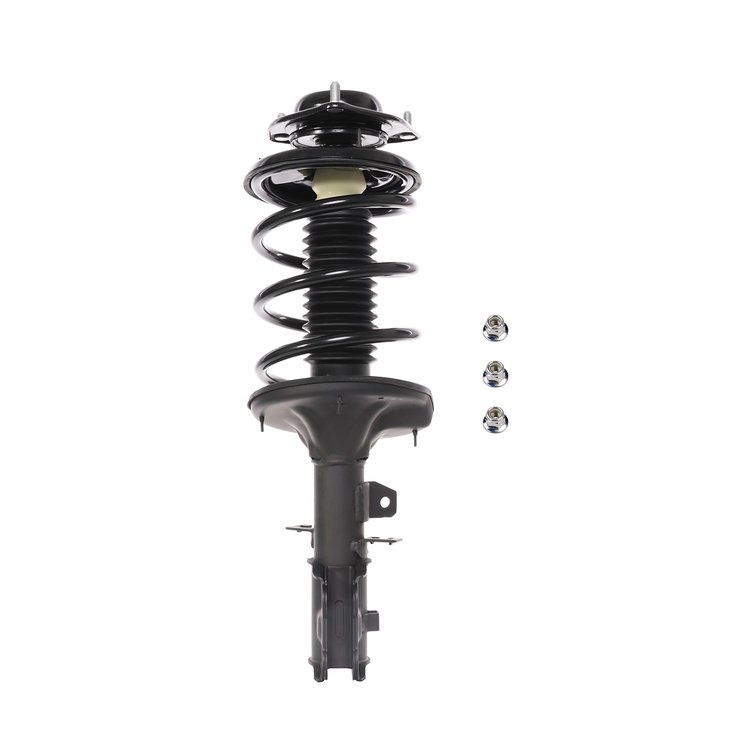 Strut Assembly