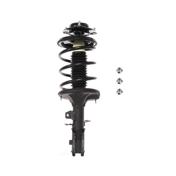 Strut Assembly