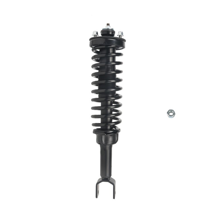 Strut Assembly