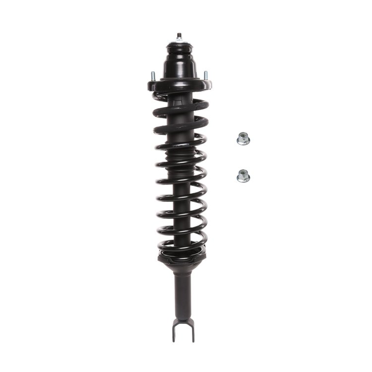 Strut Assembly