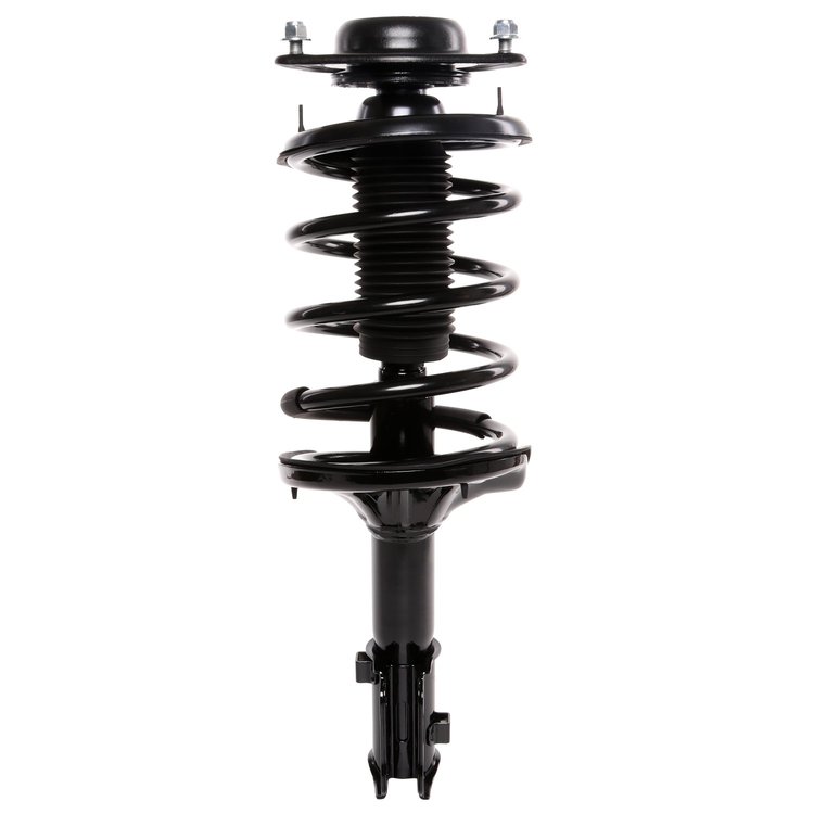 Strut Assembly