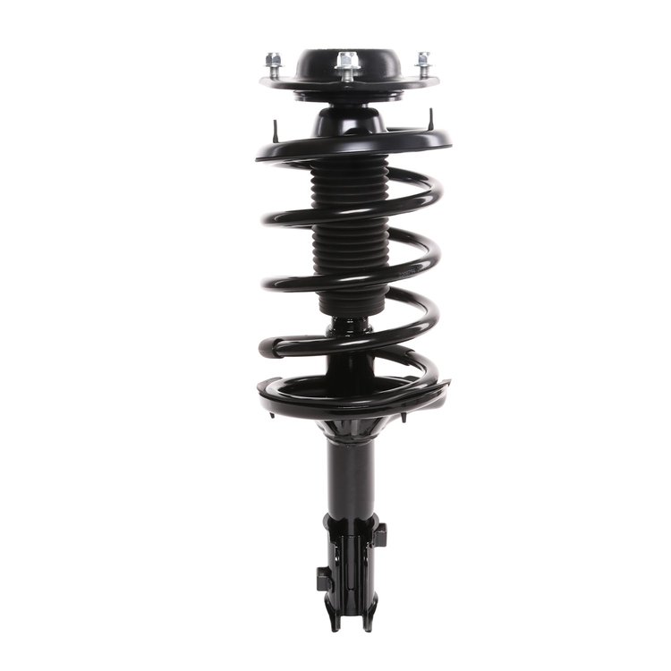 Strut Assembly