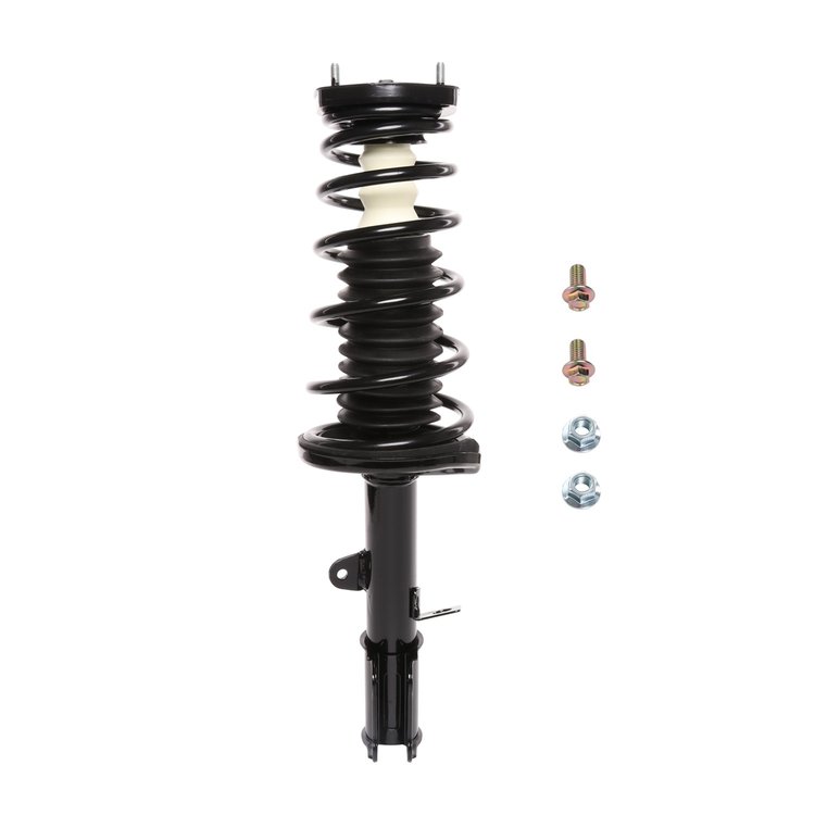Strut Assembly
