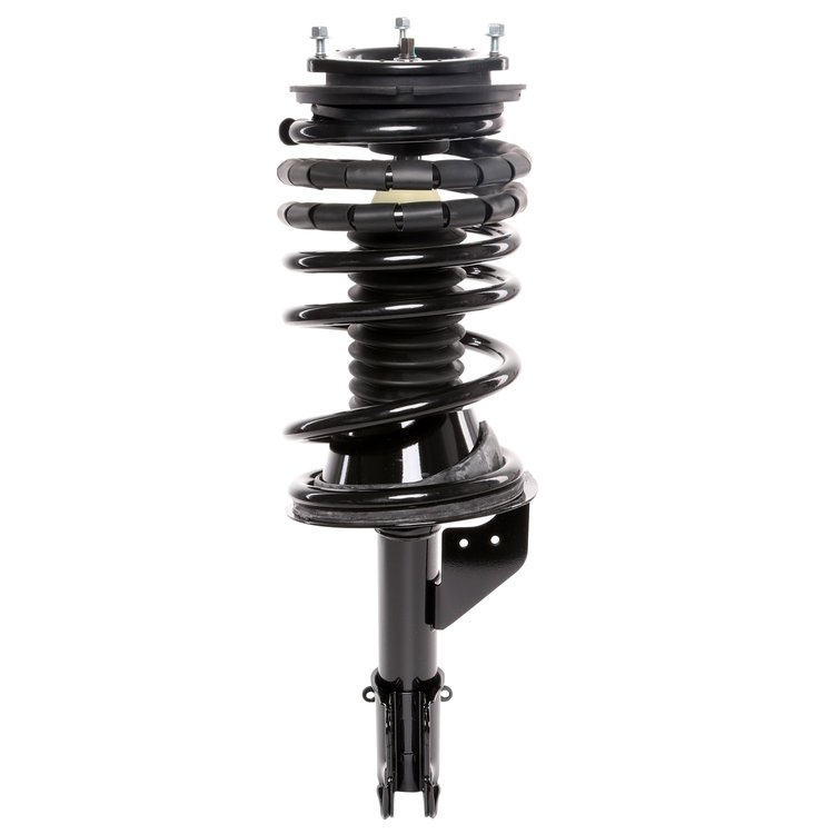 Strut Assembly