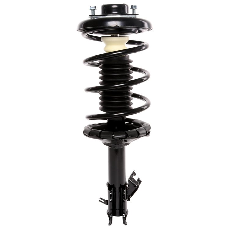 Strut Assembly