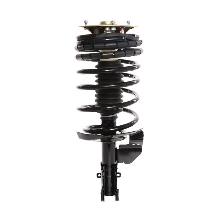 Strut Assembly