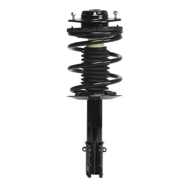 Strut Assembly