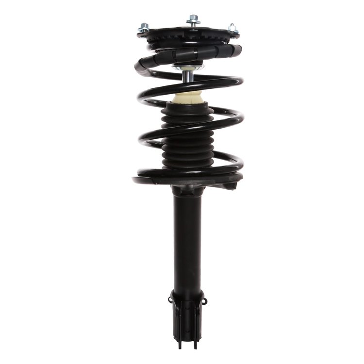 Strut Assembly