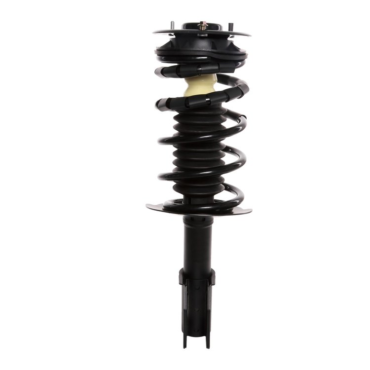 Strut Assembly