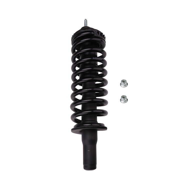 Strut Assembly
