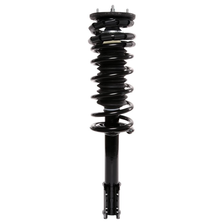 Strut Assembly