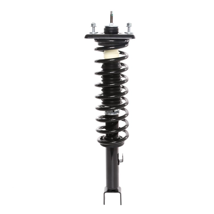 Strut Assembly
