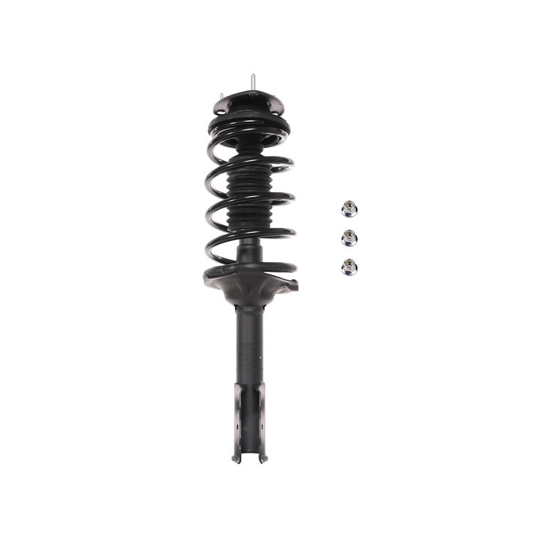 Strut Assembly