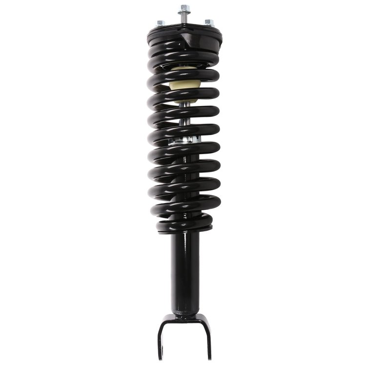 Strut Assembly