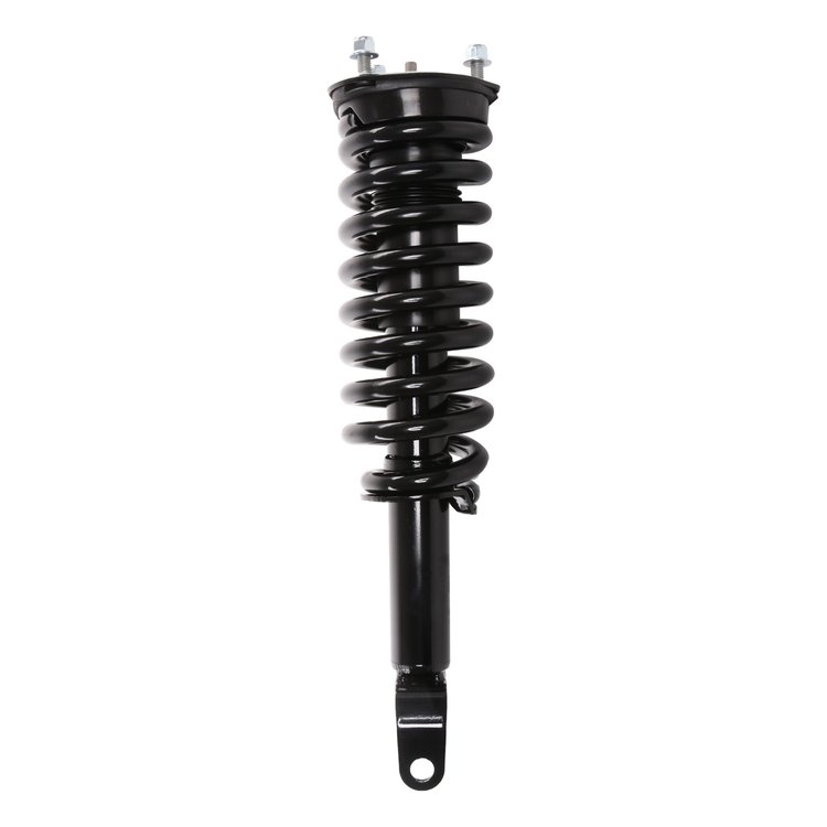 Strut Assembly