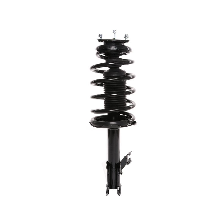 Strut Assembly