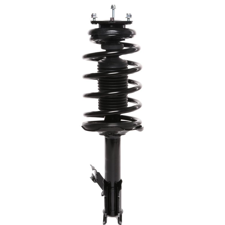 Strut Assembly