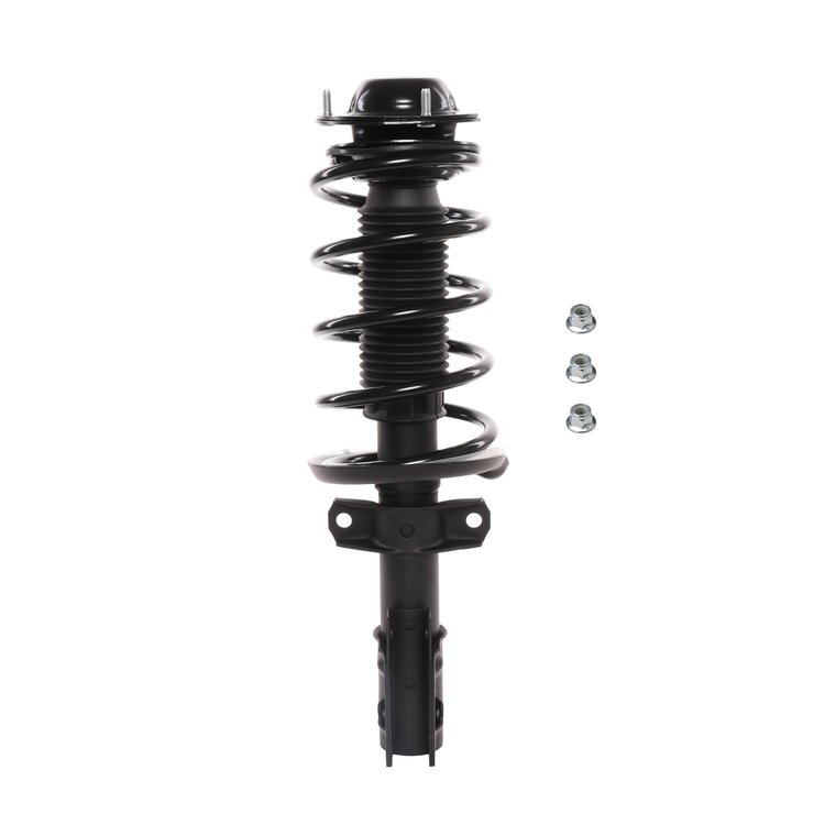 Strut Assembly