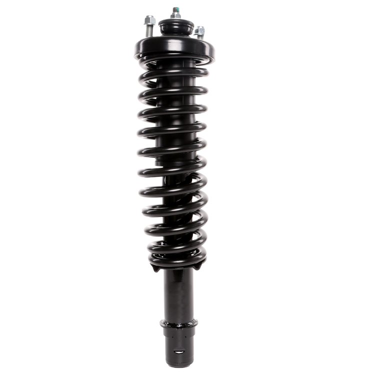 Strut Assembly