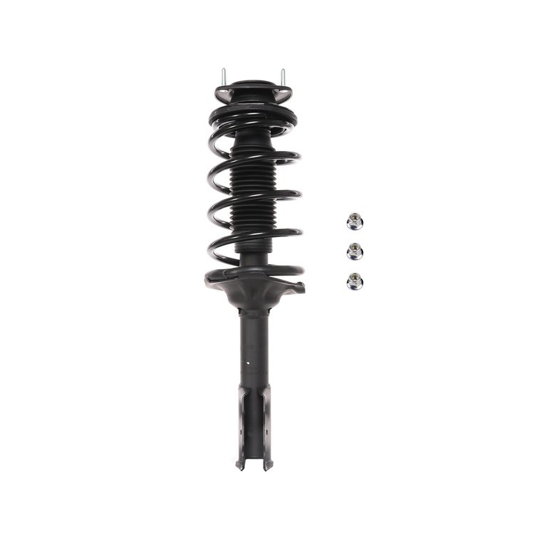 Strut Assembly
