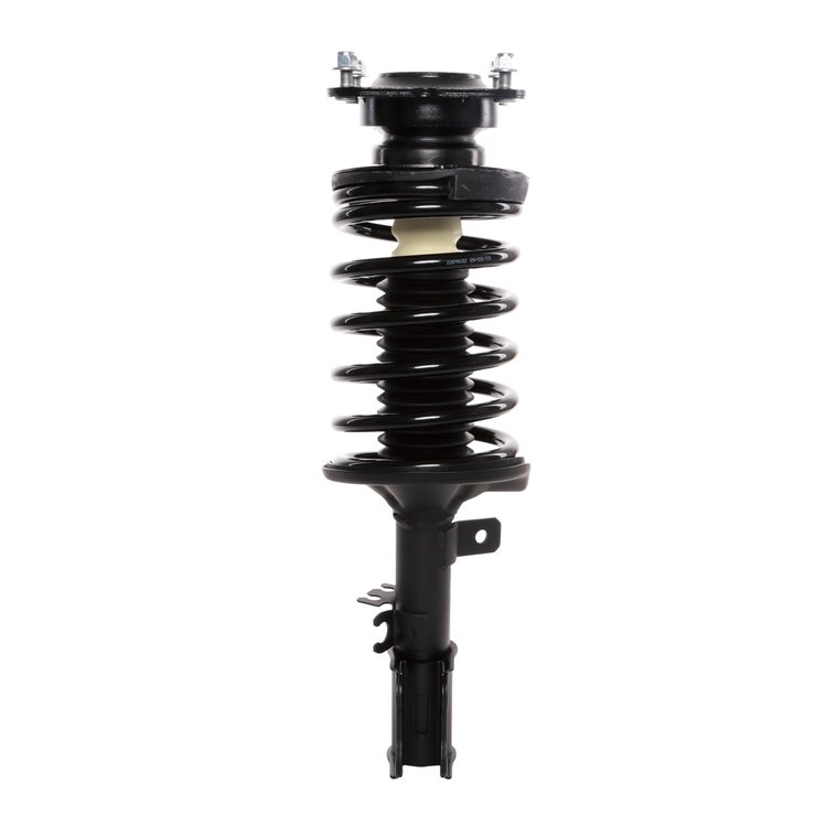 Strut Assembly