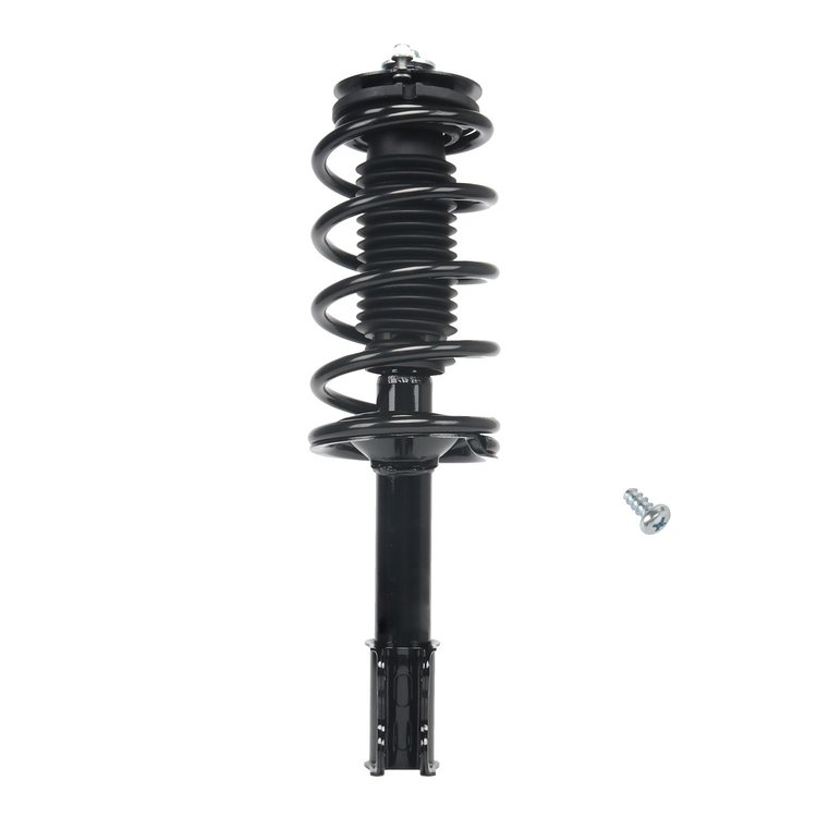 Strut Assembly