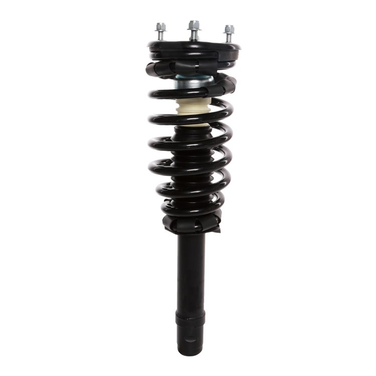 Strut Assembly