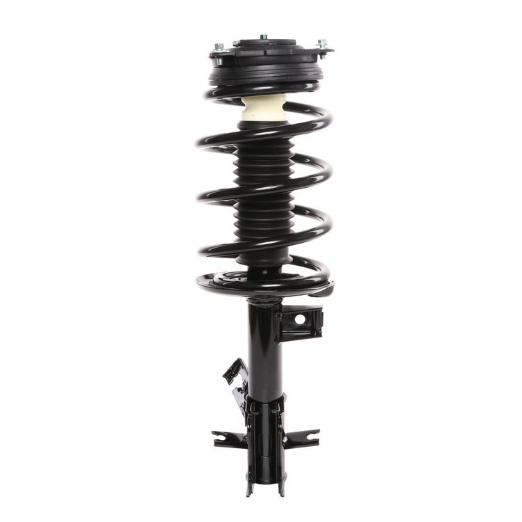 Strut Assembly