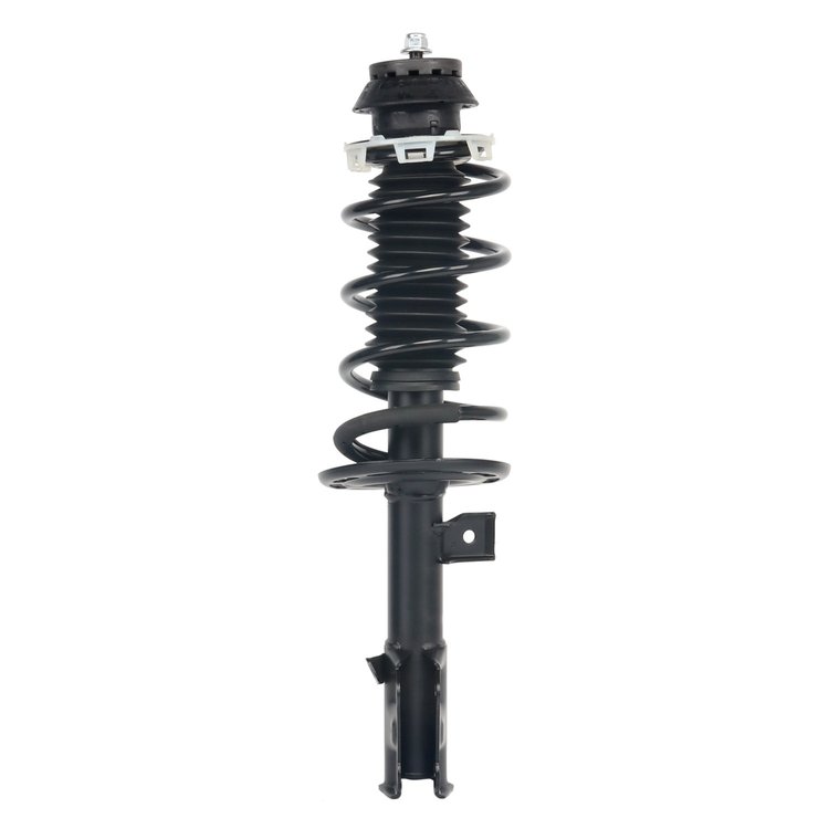 Strut Assembly