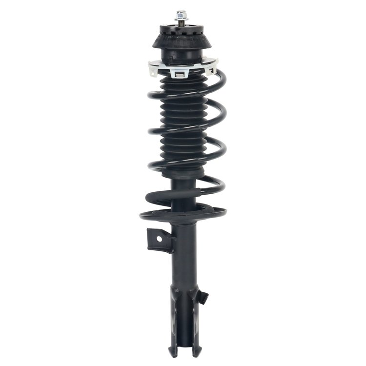 Strut Assembly