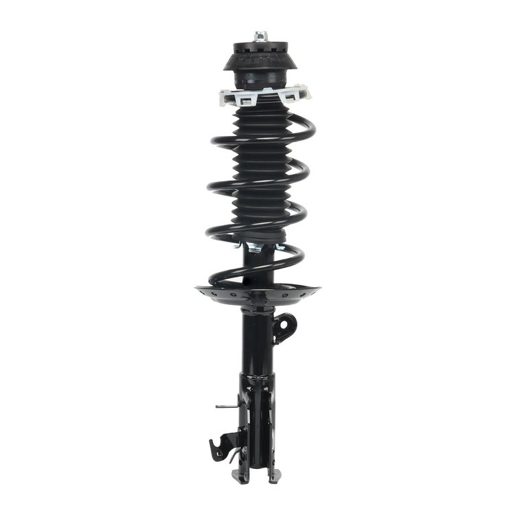 Strut Assembly