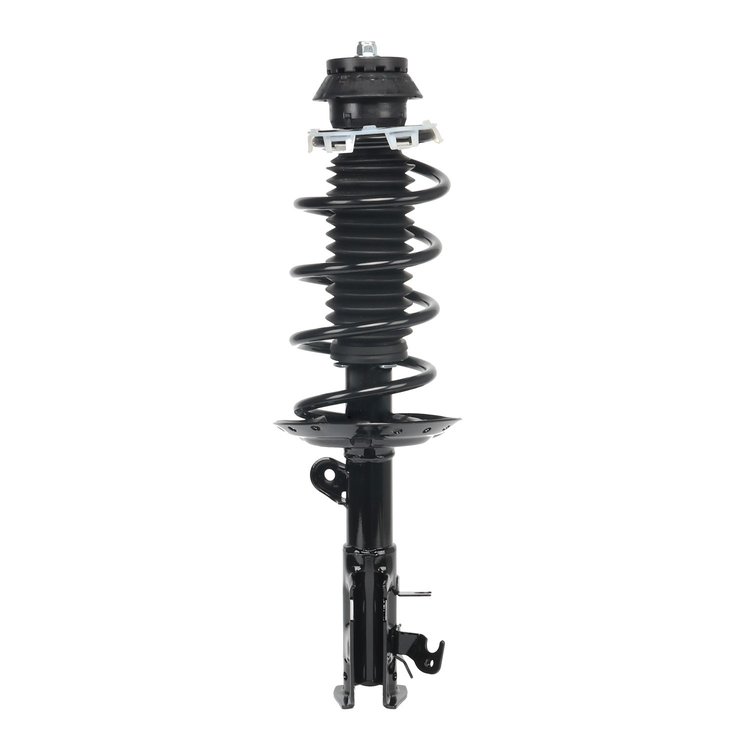 Strut Assembly