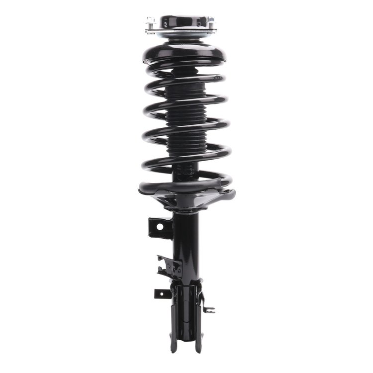 Strut Assembly