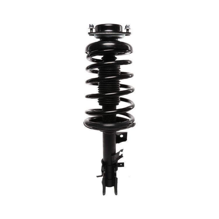 Strut Assembly
