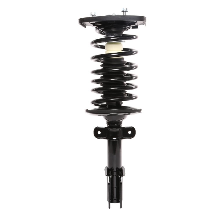Strut Assembly
