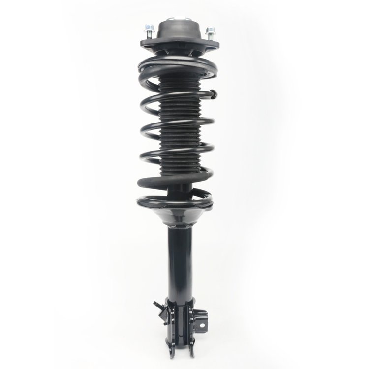 Strut Assembly